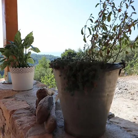 Hébergement de vacances Greenside Lumi-two Bedroom With Terrace And Sea View *