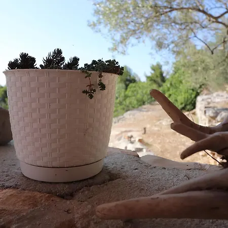 Hébergement de vacances Greenside Lumi-two Bedroom With Terrace And Sea View Vela Luka