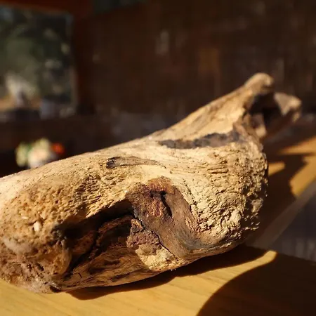 Greenside Lumi-two Bedroom With Terrace And Sea View Vela Luka